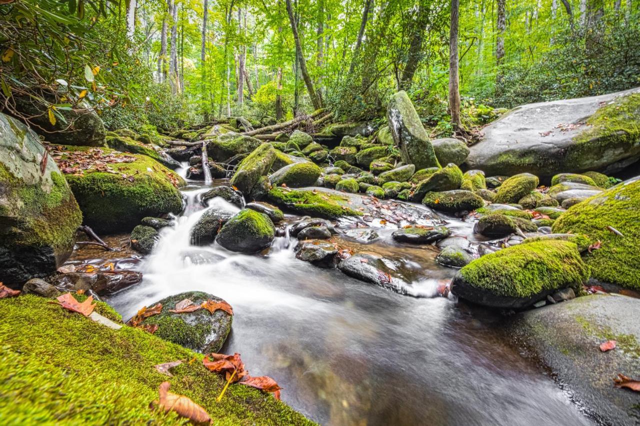 Seasons Of The Heart Villa Gatlinburg Luaran gambar